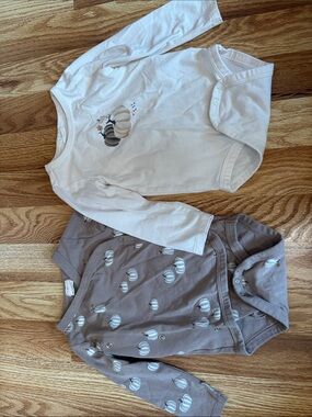 Petit Lem Neutral Pumpkin Graphic Long-Sleeve Baby Bodysuits, 2-Pack